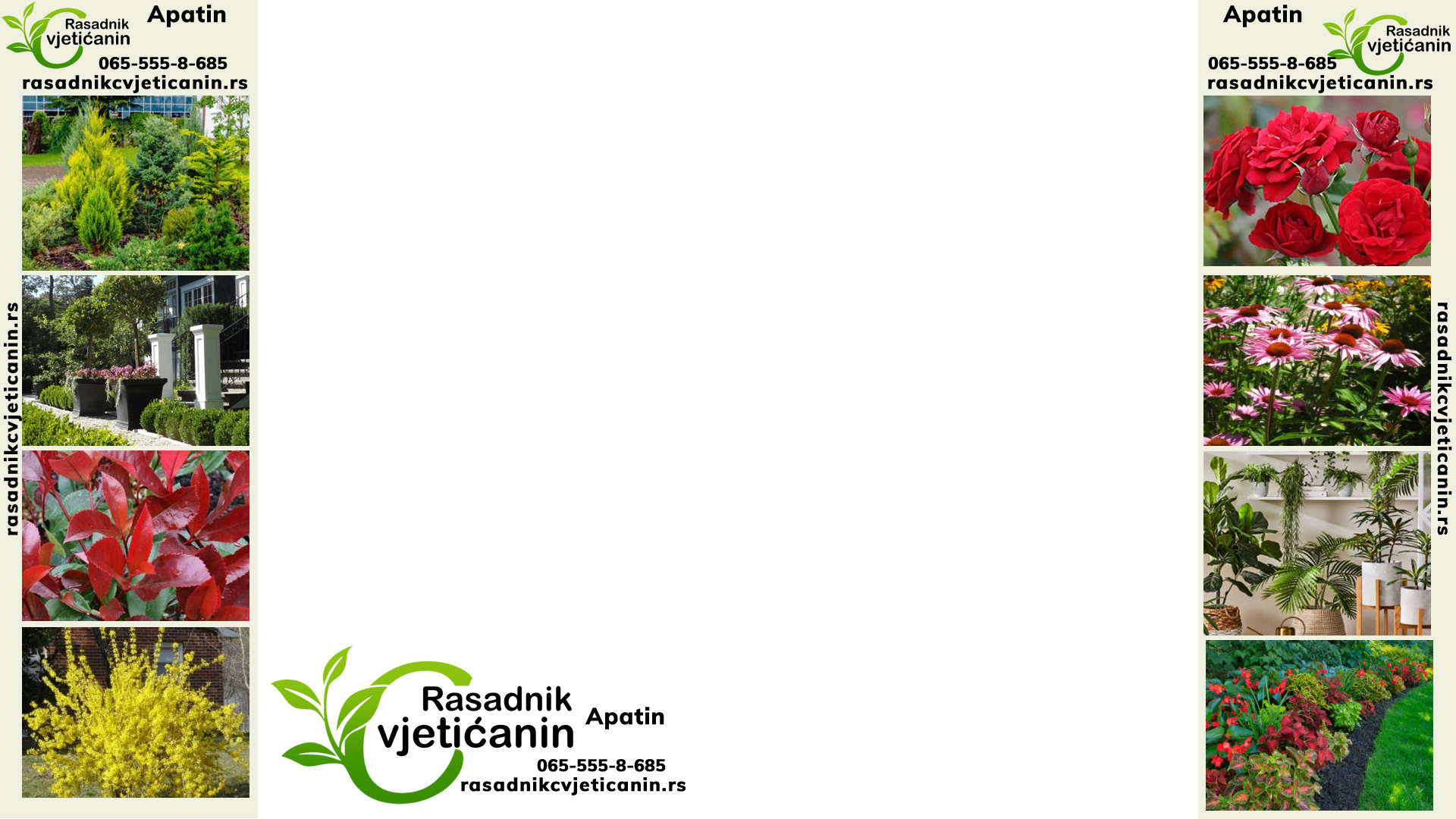 Rasadnik Cvjetićanin Apatin