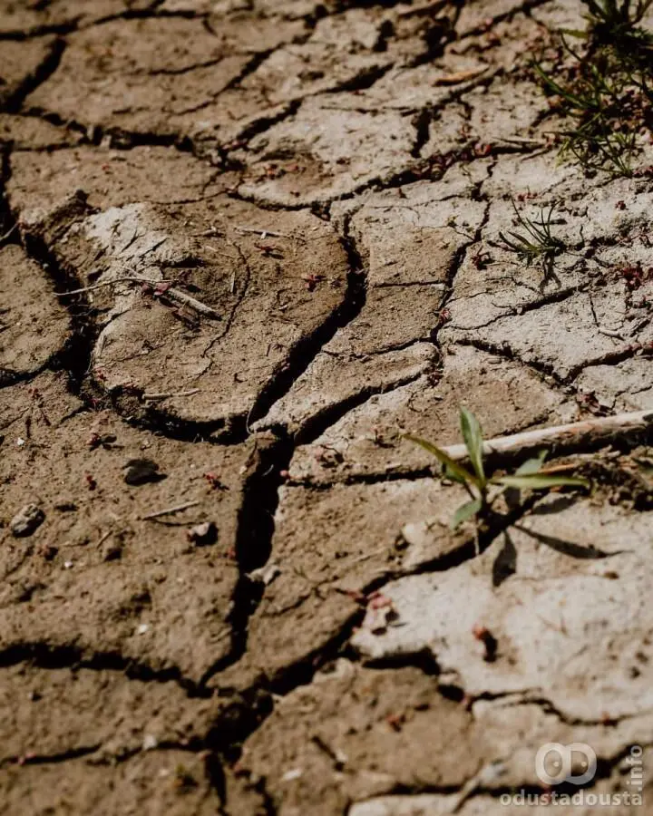 Klimatski preobražaj Sombora: Od umerene ravnice do vrelih leta