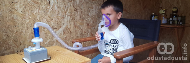 Pčelinja klinika - Api terapija