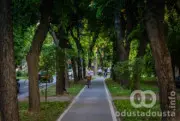Produžen Rok Za Gradsko Zelenilo