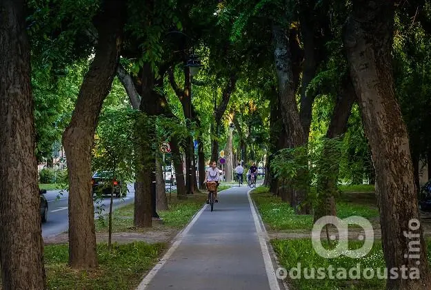 Produžen Rok Za Gradsko Zelenilo