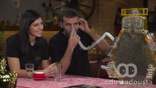 Budućnost je Stigla: Beeamond Urbane Košnice Transformišu Domove i Kancelarije u Oaze Zdravlja