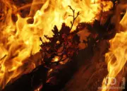 Božićna bogosluženja u Somboru raspored na Badnji dan i tokom praznika