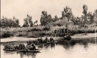 Bitka na Drini 1914. god.