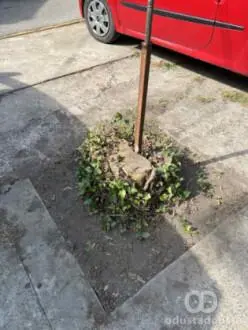 Panj na parkingu za roditelje koji dovode decu u vrtić Sulaver