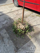 Panj na parkingu za roditelje koji dovode decu u vrtić Sulaver