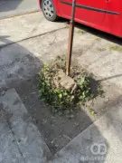 Panj na parkingu za roditelje koji dovode decu u vrtić Sulaver