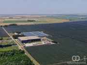 Stečaj u Apple World-u: Objavljena lista od 120 poverilaca, dugovi premašili 2,9 milijardi dinara