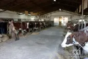 Nova Prodaja Imovine Farme Gakovo: Na Dobošu 33 Hektara Zemljišta I Objekti Vredni 240 Miliona Dinara