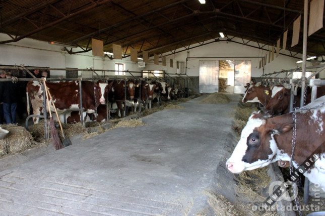 Nova Prodaja Imovine Farme Gakovo: Na Dobošu 33 Hektara Zemljišta I Objekti Vredni 240 Miliona Dinara