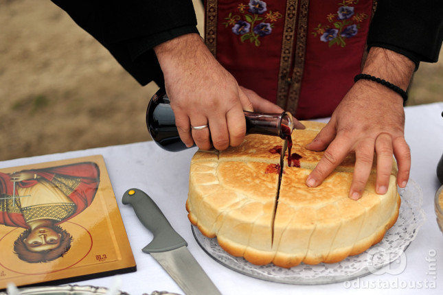 Sveti Trifun u somborskim vinogradima orezana prva loza za rodnu godinu