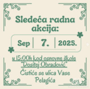 Čistimo ulicu Vase Pelagića