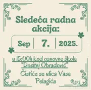 Čistimo ulicu Vase Pelagića
