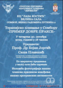 Terapisko plivanje u somboru