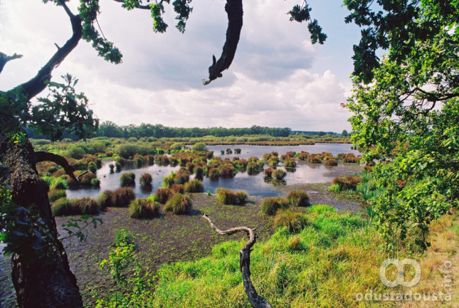 Spas za rukavac Dondo - Voda se vraća u srce Evropskog Amazona
