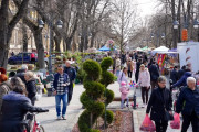U samom centru Apatina, u ulici Srpskih vladara, održava se „Prolećni bazar“