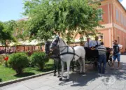 Upoznajte Sombor: Obilazak grada i vožnja fijakerom