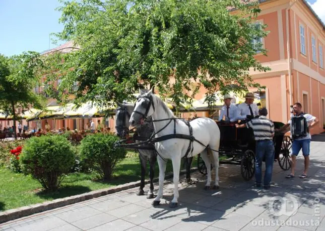 Upoznajte Sombor: Obilazak grada i vožnja fijakerom