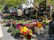 Prolećna rapsodija na Glavnom trgu: Otvoren Sajam cveća u Somboru