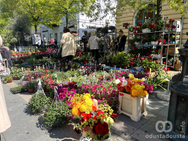 Prolećna rapsodija na Glavnom trgu: Otvoren Sajam cveća u Somboru