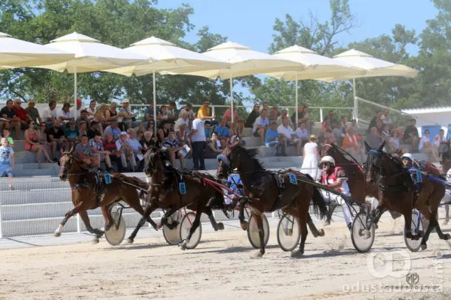 Spektakl na hipodromu: 25. jubilarna trka za Pehar grada Sombora okuplja 60 najboljih grla