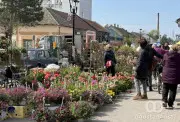 Prolećni festival cveća u Kuli