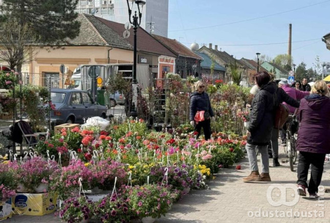 Prolećni festival cveća u Kuli