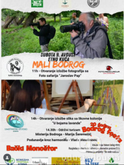 Plakat za "Mali Bodrog"
