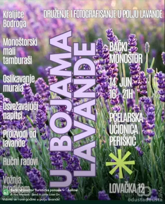 Manifestacija „U bojama lavande“ 14. juna u Bačkom Monoštoru