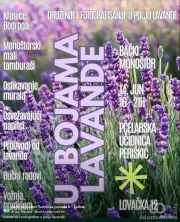 Manifestacija „U bojama lavande“ 14. juna u Bačkom Monoštoru