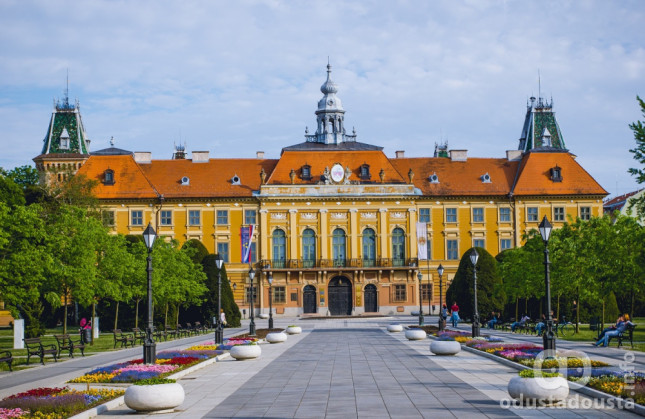 Više od 100 novih stabala krasiće ulice Sombora: Nastavljena akcija „Zelenila“