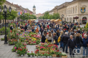 Sombor u Cvetnom Zagrljaju: Tradicionalni Sajam Cveća Počinje 22. Aprila