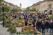 Sombor u Cvetnom Zagrljaju: Tradicionalni Sajam Cveća Počinje 22. Aprila