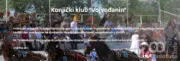 Peti kasački dan na hipodromu