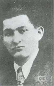 Žarko Zrenjanin