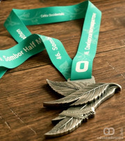 Simbol Ravangrada oko vrata: Predstavljena medalja 46. Somborskog polumaratona