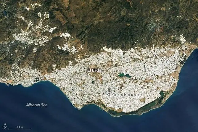 Plastenici: Plastično more Almerije od španske pustinje do hraniteljice Evrope