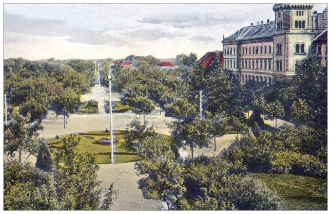 Betonizacija Uspomene: Kako je Somborski Županijski Park Izgubio Svoju Dušu