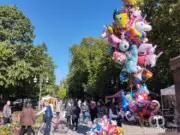 Objavljen program Prolećnog bazara u Apatinu: Dvodnevna manifestacija uz radionice, predavanja i nastupe