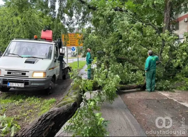 Nevreme u Somboru rušilo drveće: Radnici JKP Zelenilo hitno na terenu