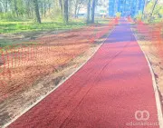 Apel građanima Sombora: Čuvajmo novu tartan podlogu u Rokovačkoj šumici