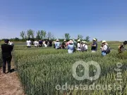 Poljoprivrednu stručnu službu Sombor posetili svetski selekcioneri žita i kukuruza