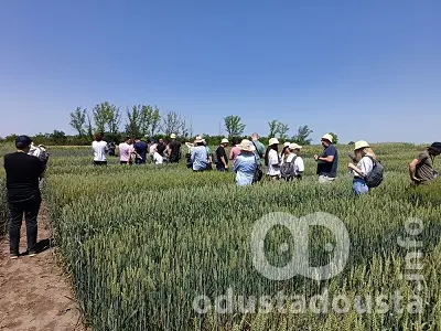 Poljoprivrednu stručnu službu Sombor posetili svetski selekcioneri žita i kukuruza