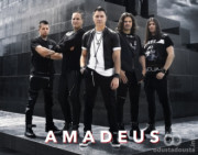 Koncert grupe Amadeus