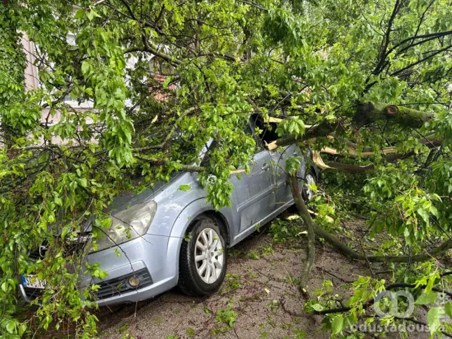 Sanacija šteta nakon olujnog nevremena u gradu