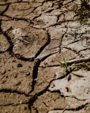 Klimatski preobražaj Sombora: Od umerene ravnice do vrelih leta