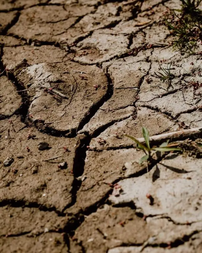Klimatski preobražaj Sombora: Od umerene ravnice do vrelih leta